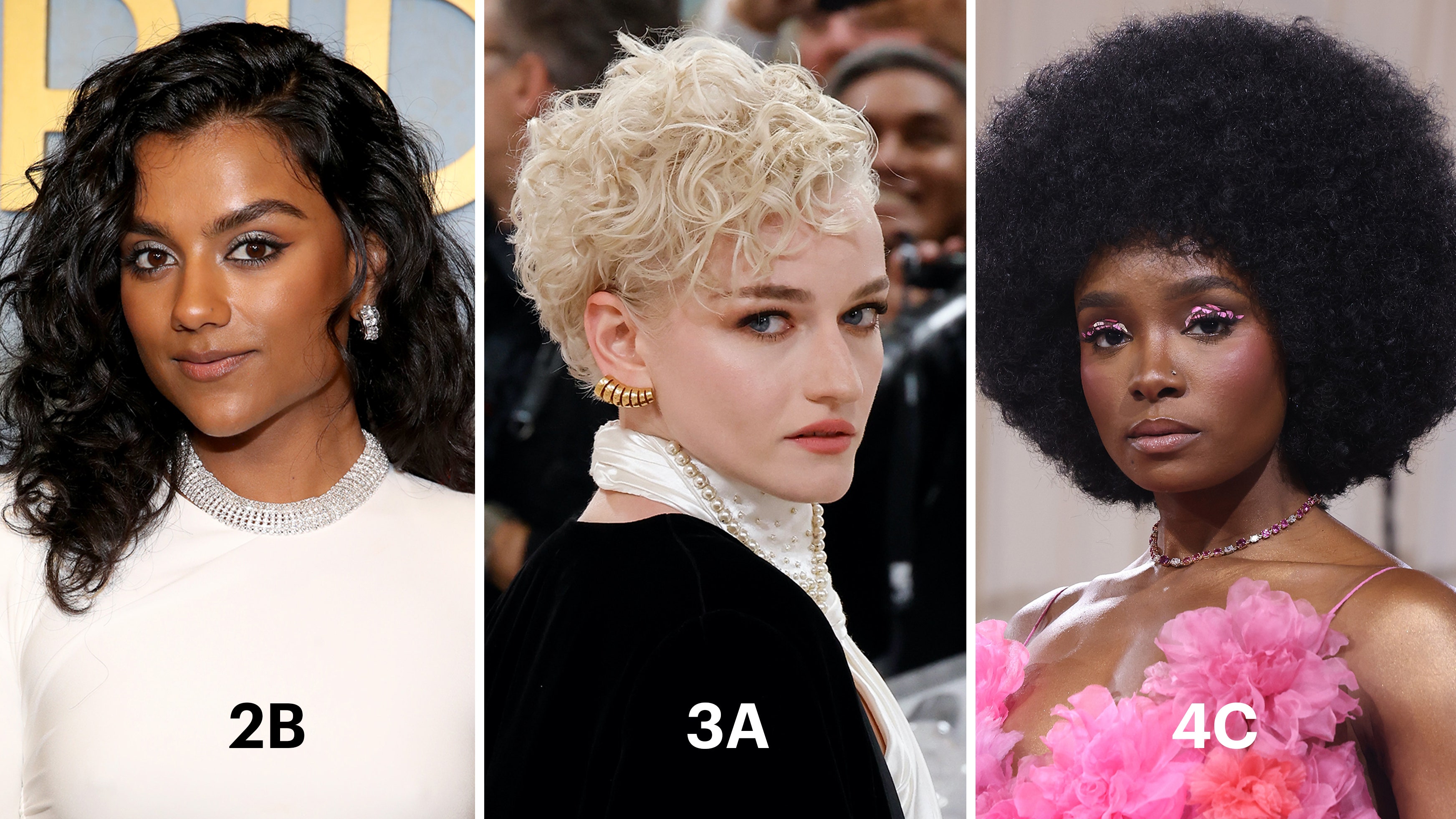 celebrity Hair Type