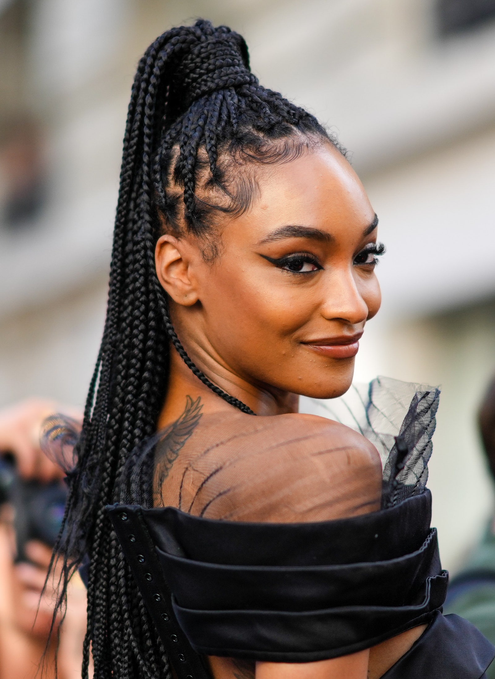 celebrity Braids in Hair