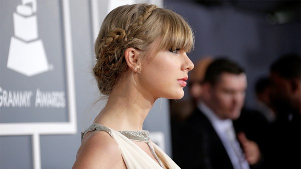 celebrity Braids in Hair